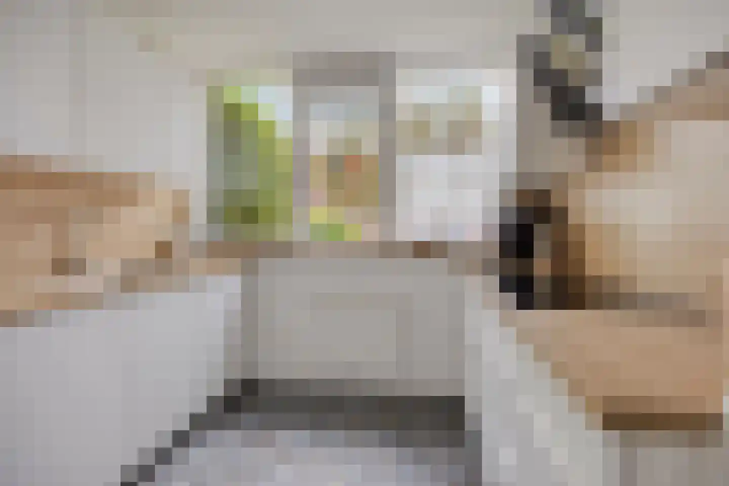 De Lipizzaner 23 Dronten thumbnail 12