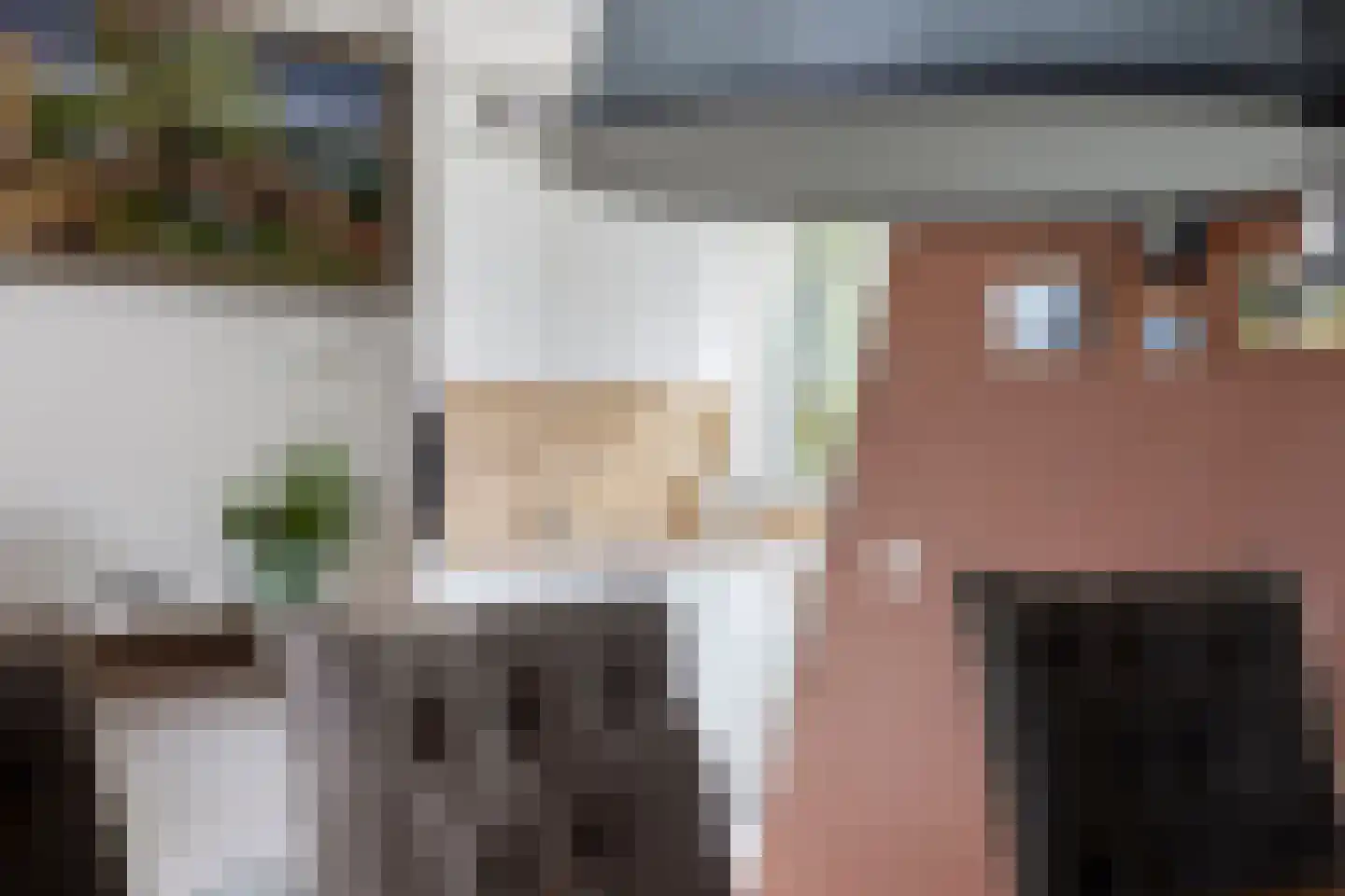 De Lipizzaner 23 Dronten thumbnail 14