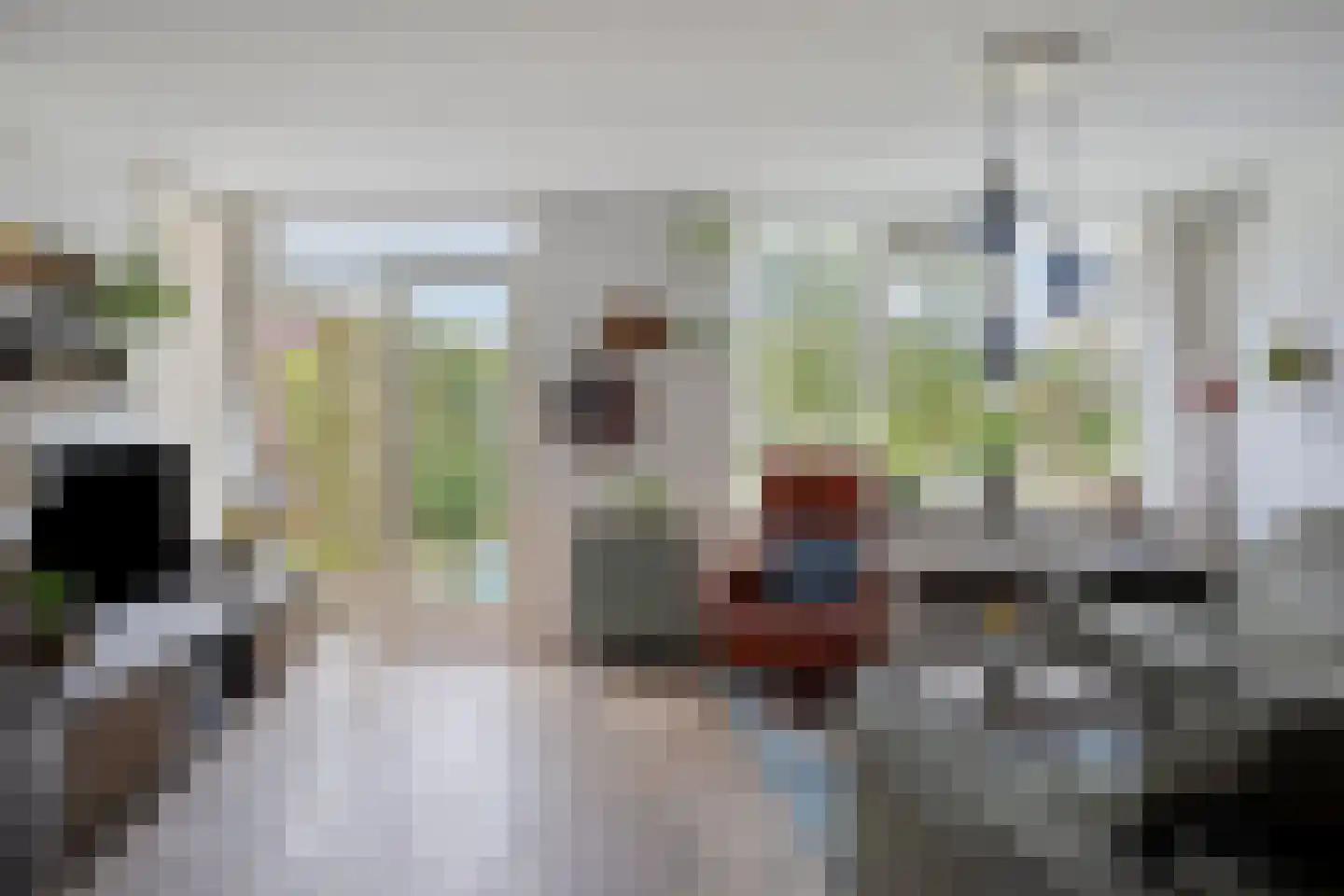 De Lipizzaner 23 Dronten thumbnail 16