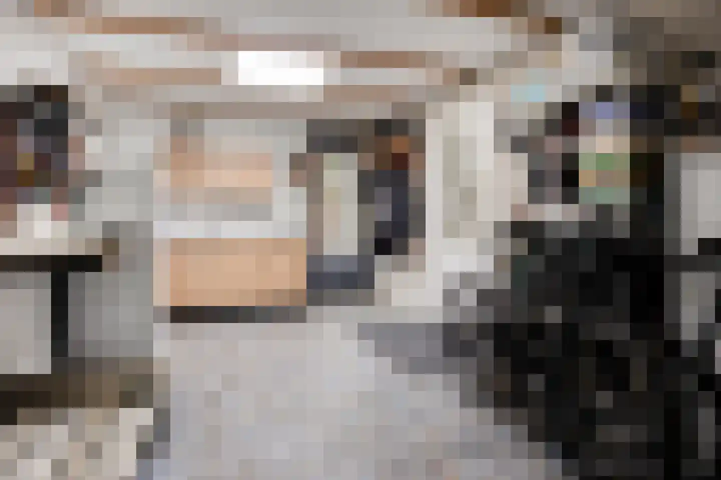 De Lipizzaner 23 Dronten thumbnail 21