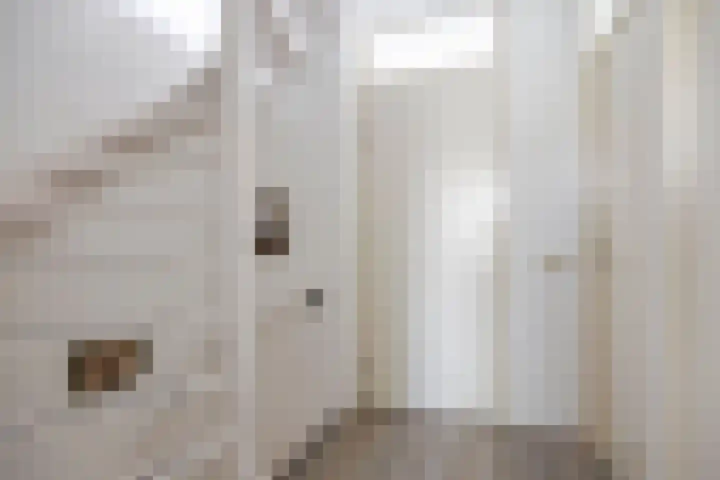 De Lipizzaner 23 Dronten thumbnail 22