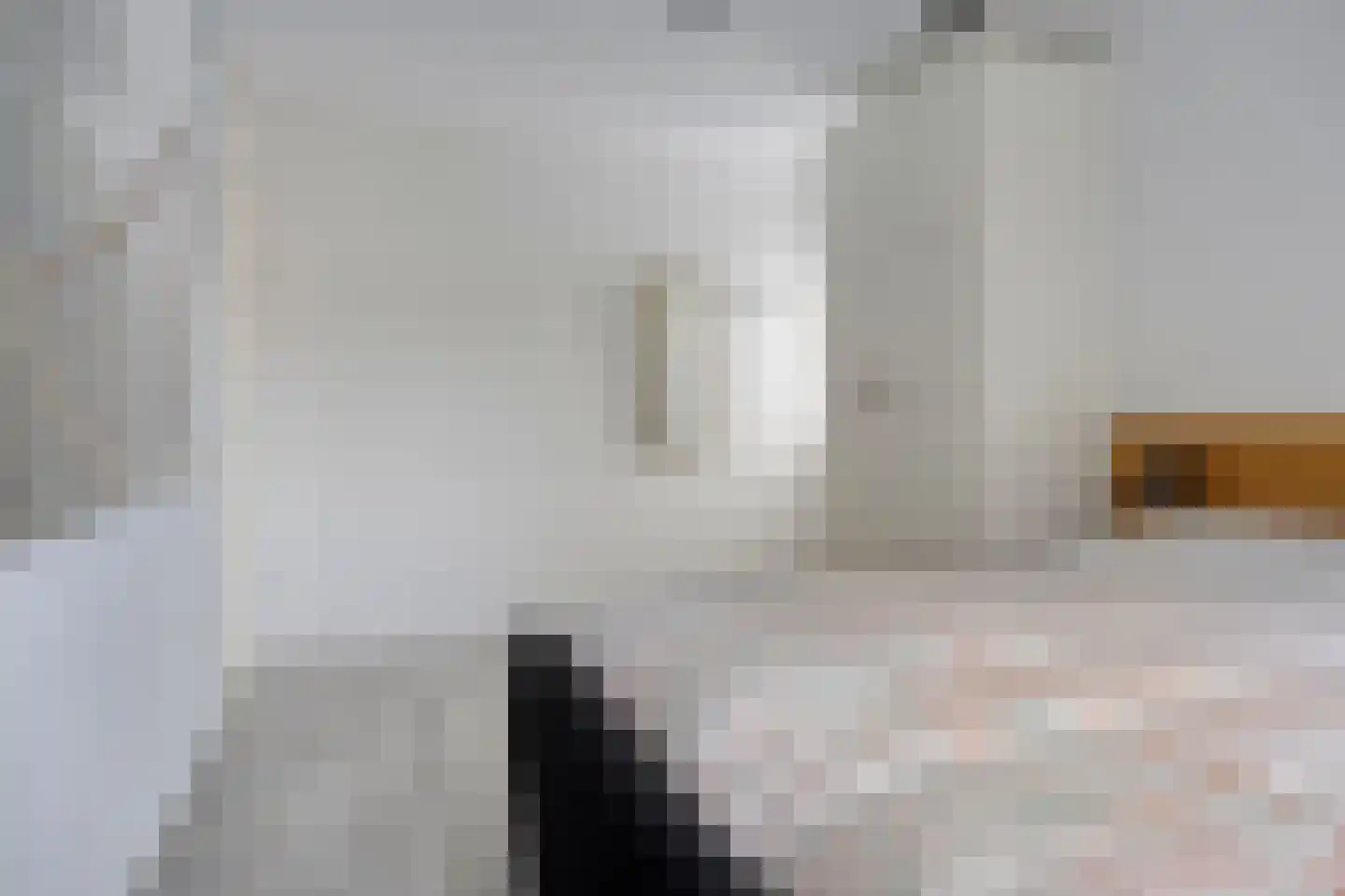De Lipizzaner 23 Dronten thumbnail 24
