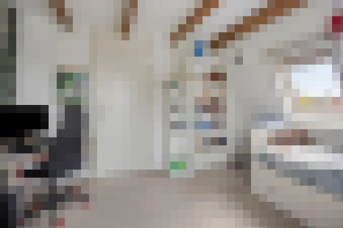 De Lipizzaner 23 Dronten thumbnail 33