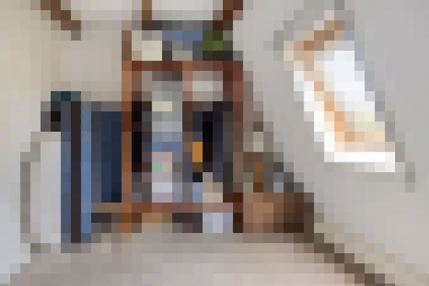De Lipizzaner 23 Dronten thumbnail 35