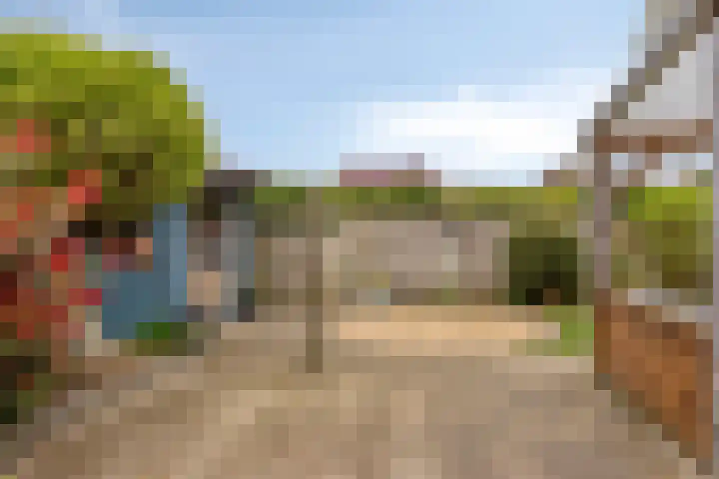 De Lipizzaner 23 Dronten thumbnail 42