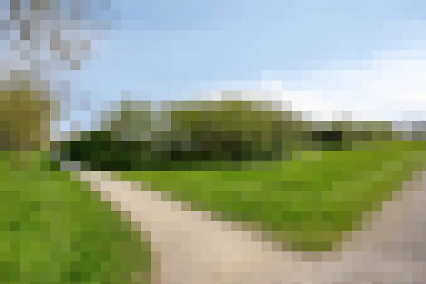 De Lipizzaner 23 Dronten thumbnail 48