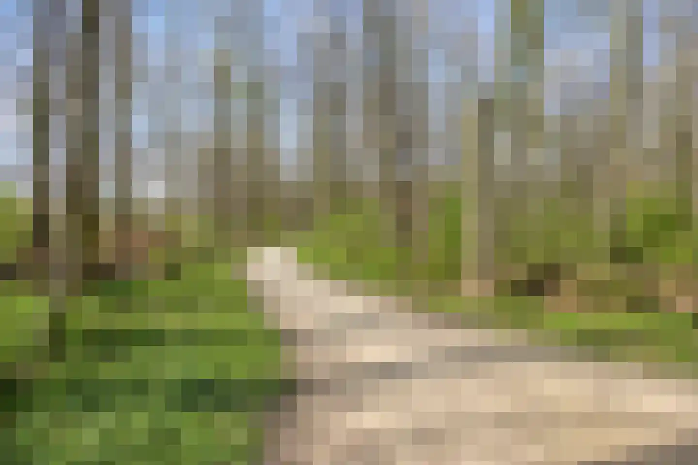 De Lipizzaner 23 Dronten thumbnail 49
