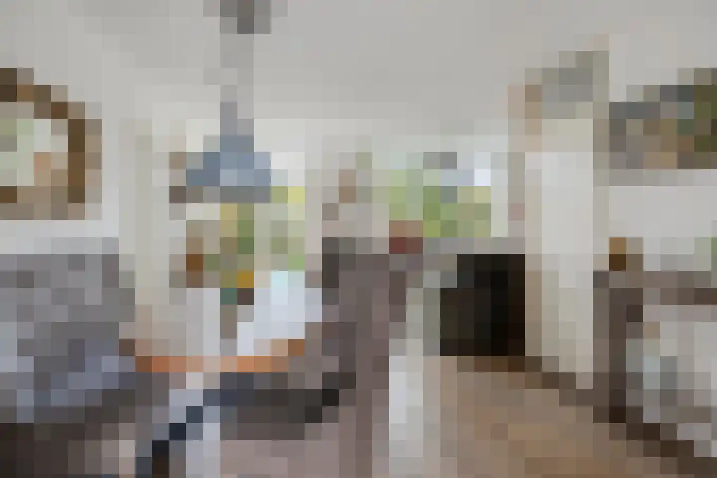 De Lipizzaner 23 Dronten thumbnail 9