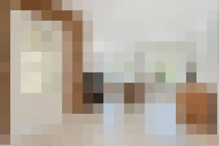 De Lisdodde 1 Dedemsvaart thumbnail 11