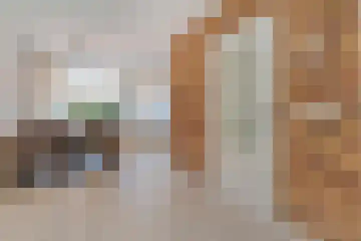 De Lisdodde 1 Dedemsvaart thumbnail 12