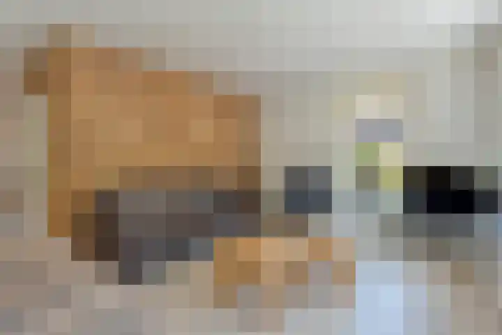 De Lisdodde 1 Dedemsvaart thumbnail 13