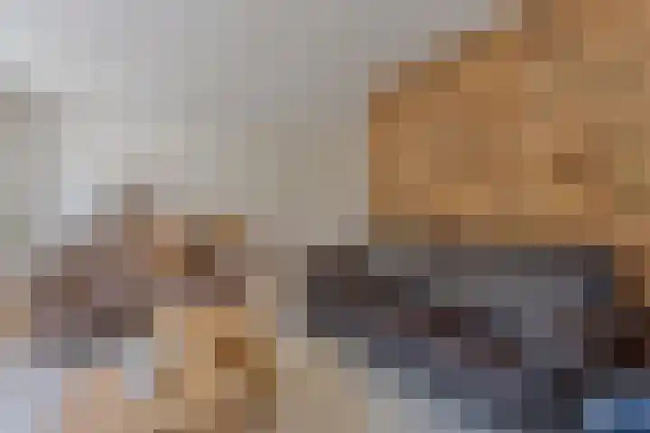 De Lisdodde 1 Dedemsvaart thumbnail 15