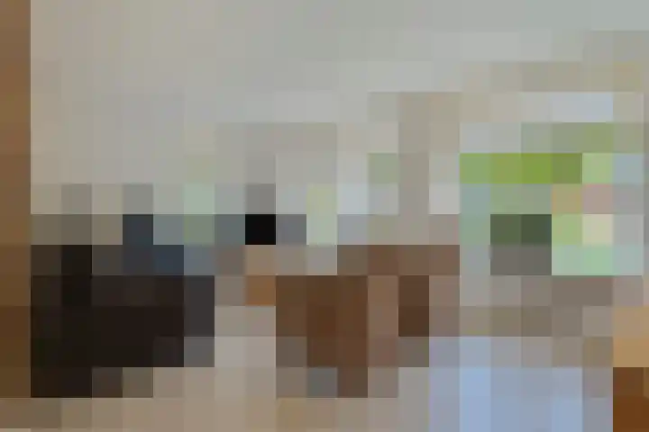 De Lisdodde 1 Dedemsvaart thumbnail 16