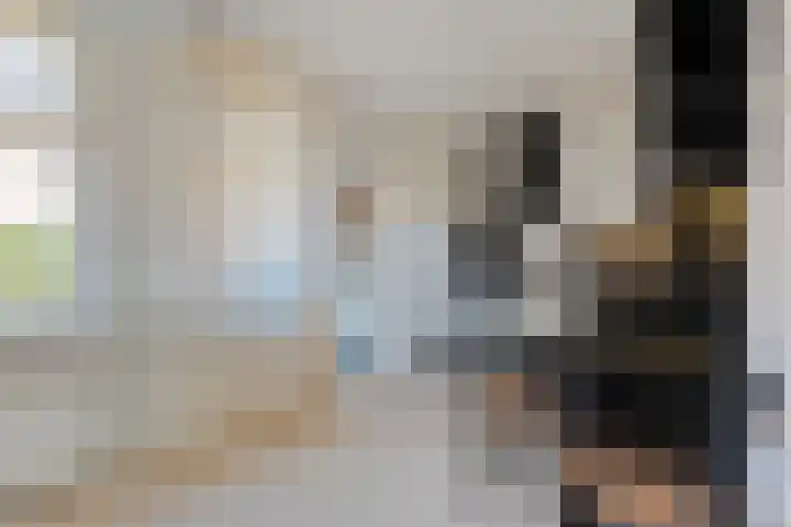 De Lisdodde 1 Dedemsvaart thumbnail 18