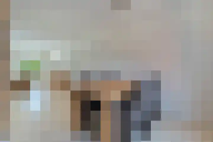 De Lisdodde 1 Dedemsvaart thumbnail 19