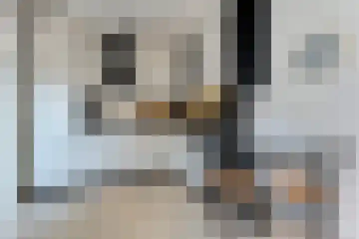 De Lisdodde 1 Dedemsvaart thumbnail 20