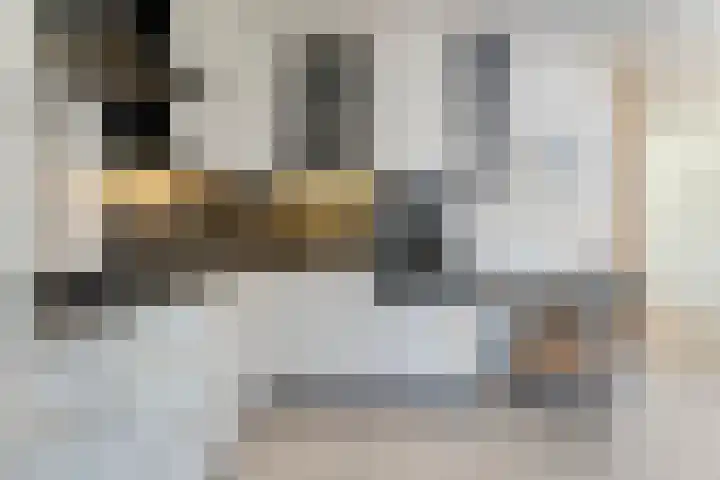 De Lisdodde 1 Dedemsvaart thumbnail 21