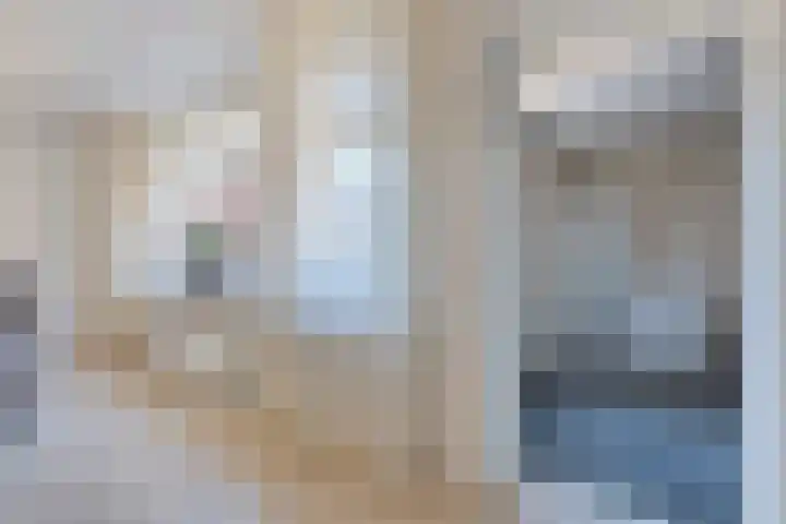 De Lisdodde 1 Dedemsvaart thumbnail 22