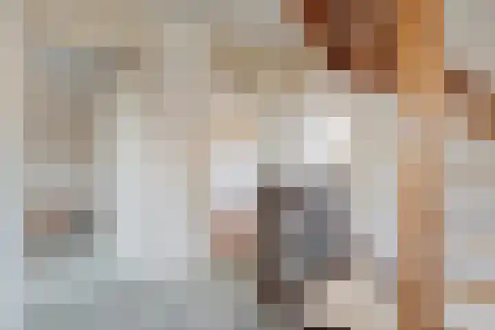 De Lisdodde 1 Dedemsvaart thumbnail 25