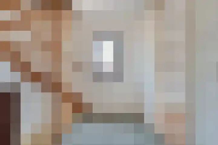 De Lisdodde 1 Dedemsvaart thumbnail 26