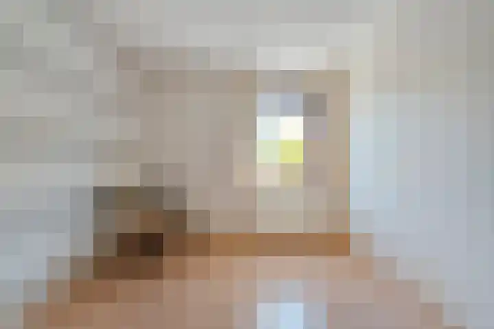 De Lisdodde 1 Dedemsvaart thumbnail 31