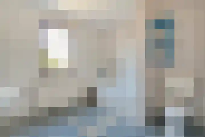 De Lisdodde 1 Dedemsvaart thumbnail 33