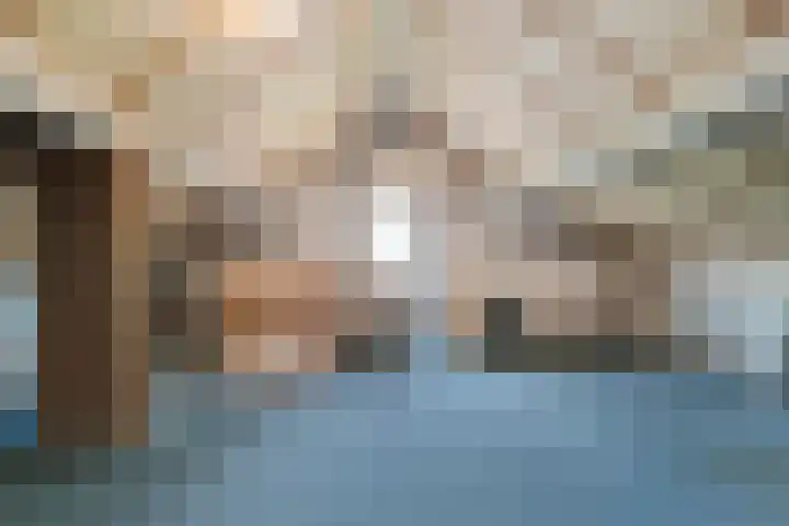 De Lisdodde 1 Dedemsvaart thumbnail 37