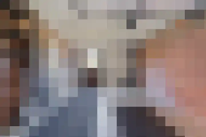 De Lisdodde 1 Dedemsvaart thumbnail 39