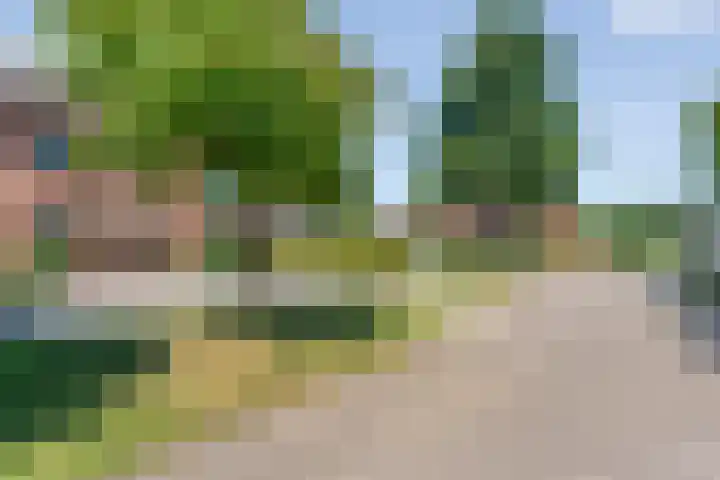 De Lisdodde 1 Dedemsvaart thumbnail 4