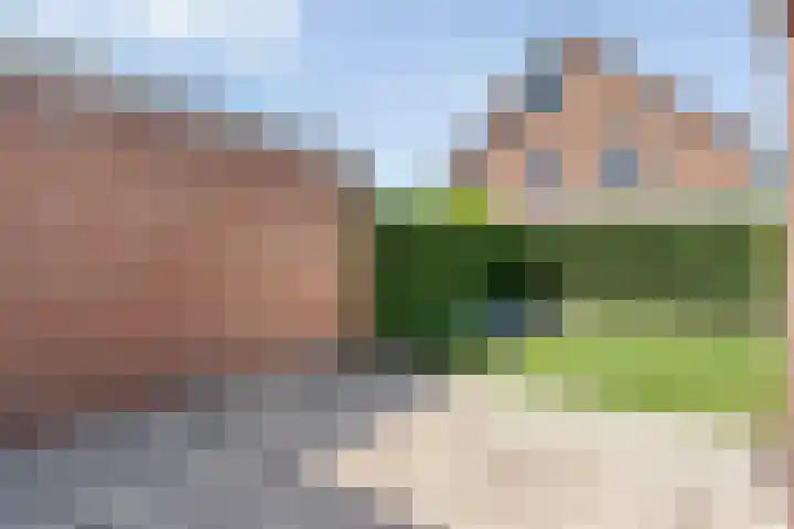 De Lisdodde 1 Dedemsvaart thumbnail 40