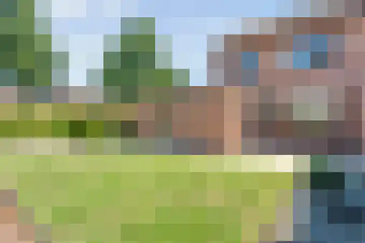 De Lisdodde 1 Dedemsvaart thumbnail 42