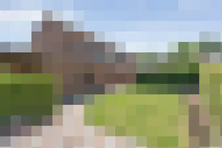 De Lisdodde 1 Dedemsvaart thumbnail 44