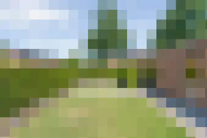 De Lisdodde 1 Dedemsvaart thumbnail 45