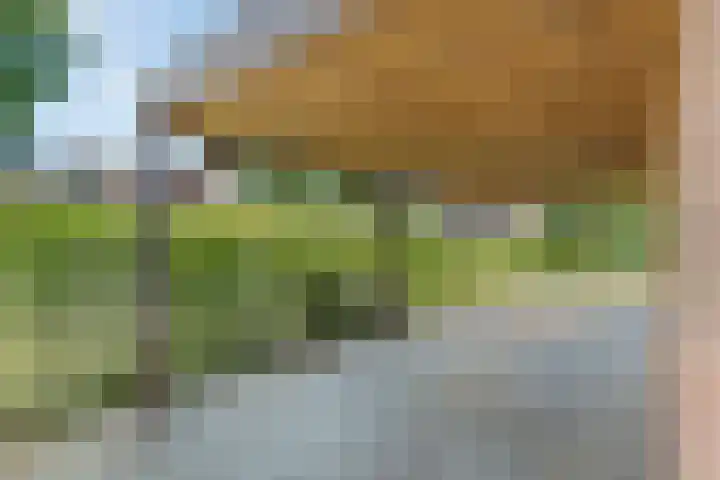 De Lisdodde 1 Dedemsvaart thumbnail 46
