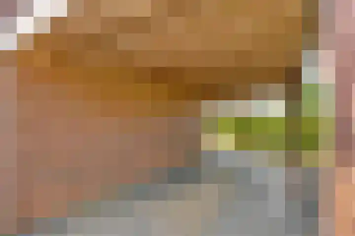 De Lisdodde 1 Dedemsvaart thumbnail 48