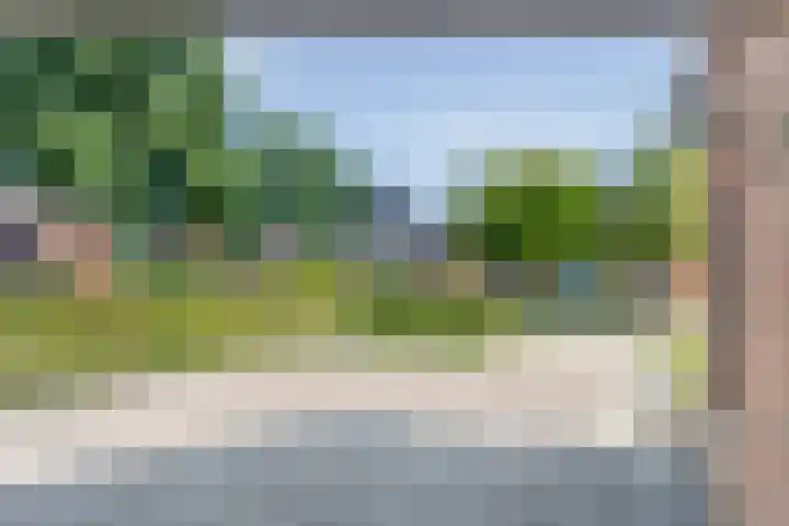 De Lisdodde 1 Dedemsvaart thumbnail 49