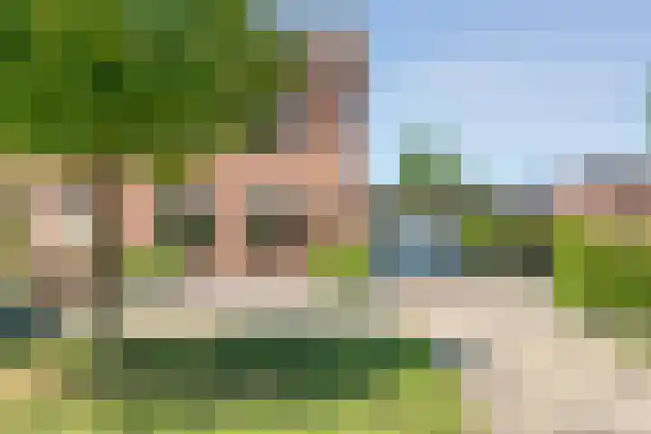 De Lisdodde 1 Dedemsvaart thumbnail 6