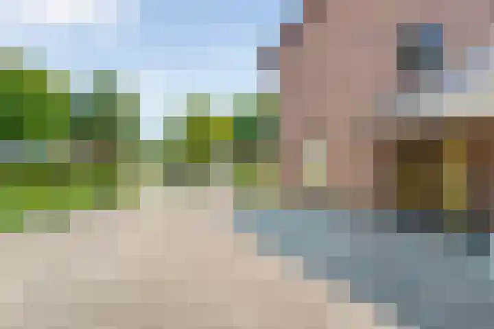 De Lisdodde 1 Dedemsvaart thumbnail 9