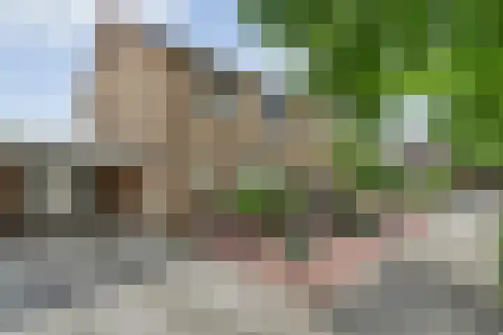 De Lisdodde 2 Dedemsvaart