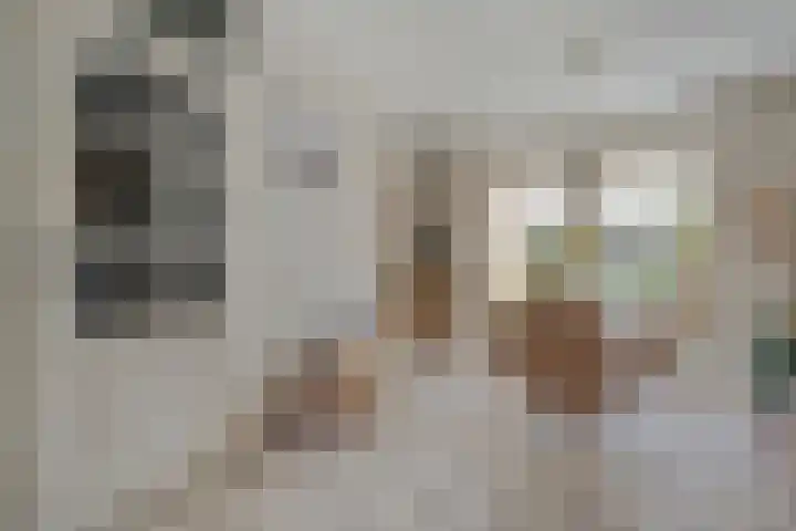 De Lisdodde 2 Dedemsvaart thumbnail 13