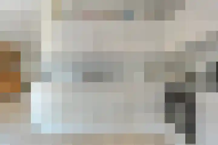 De Lisdodde 2 Dedemsvaart thumbnail 17