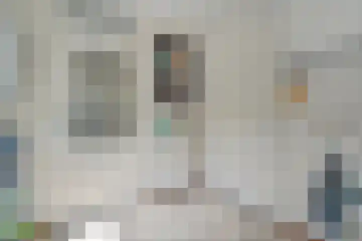 De Lisdodde 2 Dedemsvaart thumbnail 20