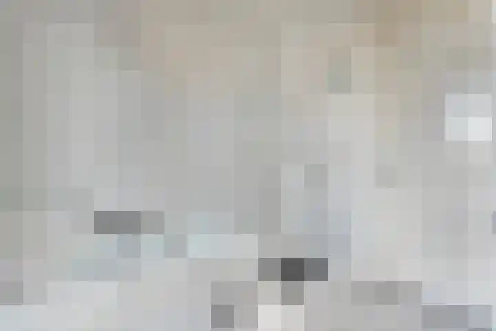 De Lisdodde 2 Dedemsvaart thumbnail 32