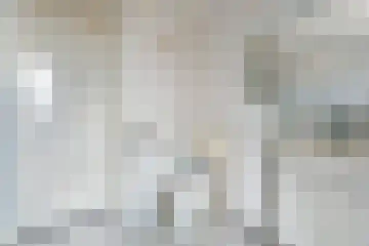 De Lisdodde 2 Dedemsvaart thumbnail 33