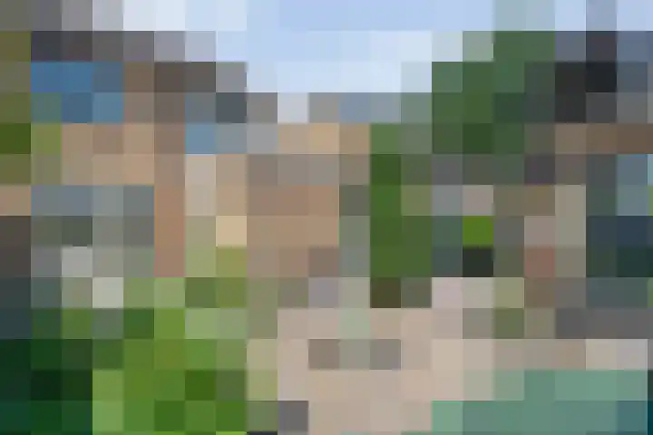 De Lisdodde 2 Dedemsvaart thumbnail 41