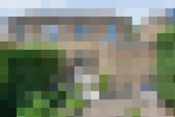 De Lisdodde 2 Dedemsvaart thumbnail 42