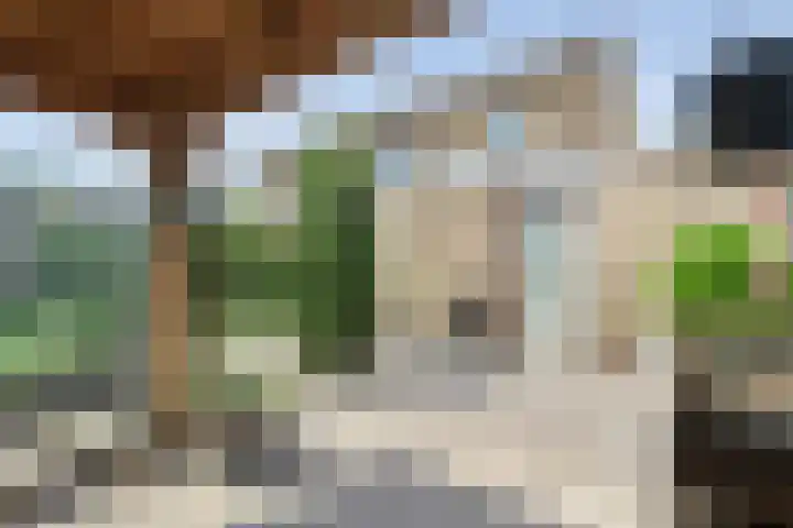 De Lisdodde 2 Dedemsvaart thumbnail 45