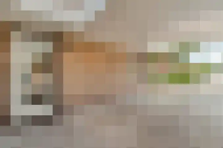 De Lisdodde 2 Dedemsvaart thumbnail 51