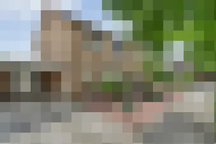 De Lisdodde 2 Dedemsvaart thumbnail 57
