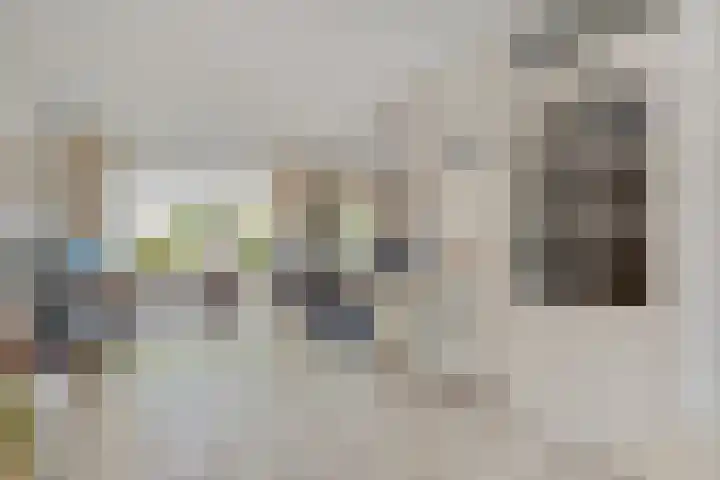 De Lisdodde 2 Dedemsvaart thumbnail 7